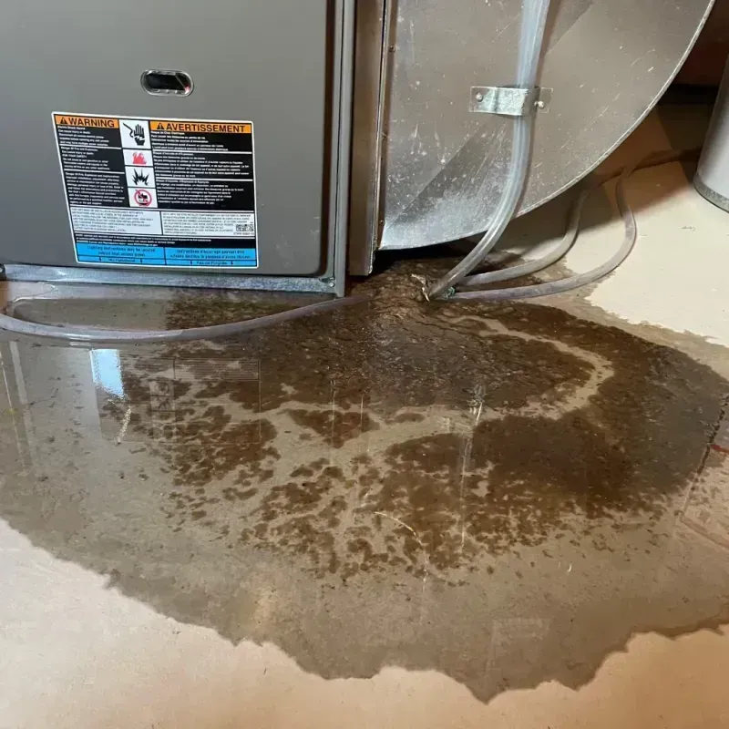 Appliance Leak Cleanup in Ridgewood, NJ